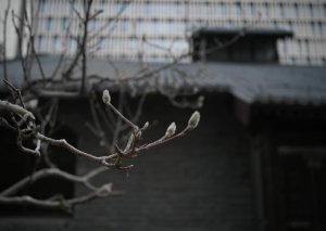 AWS em Pauta: Workflows no Bedrock, Conectividade Privada no SageMaker e Evolução no Amazon S3